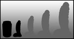 Gherkin min-5939 ~ Mini Size ~ Medium+ firmness