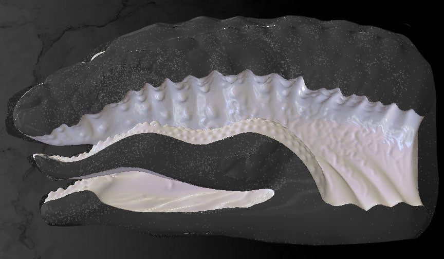 Jormungandr p-21011 ~ Pocket Size ~ Supersoft Firmness