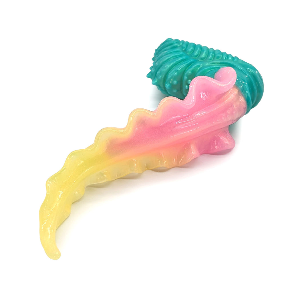 Scylla L-3716 ~ Large Size ~ Split+ Firmness