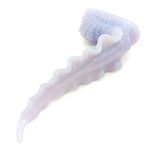 Scylla 1Min-5107 ~ Mini Size ~ Medium